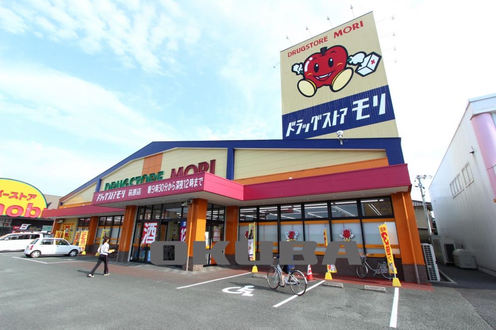 �y���Ӂz�@�h���b�O�X�g�A���� �����X 453m