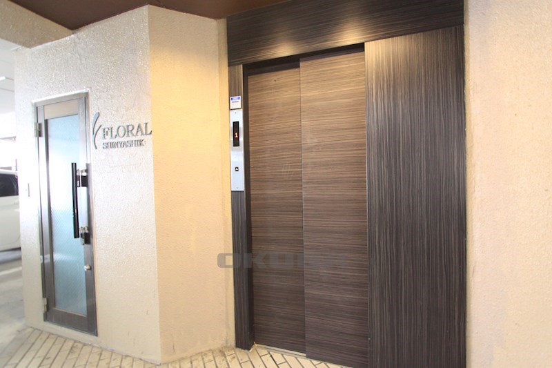 �y���̑����L�����z�@