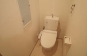 �y�g�C���z�@