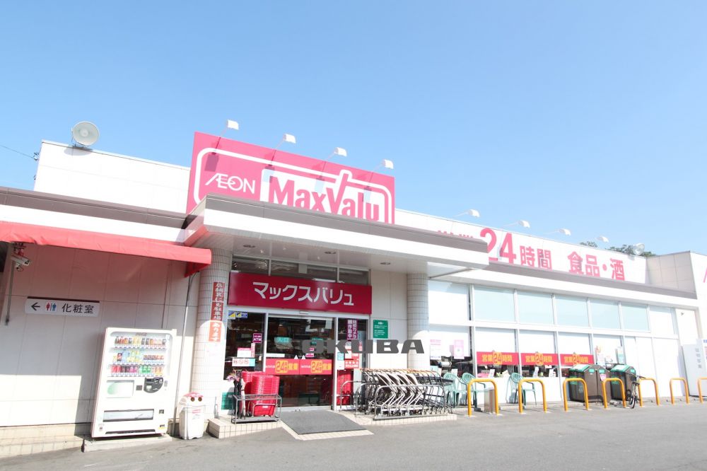 �y���Ӂz�@�}�b�N�X�o���� �G�N�X�v���X�_���X 533m
