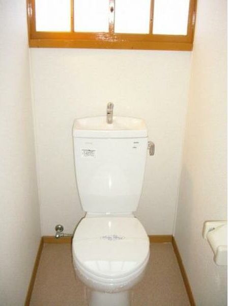 �y�g�C���z�@