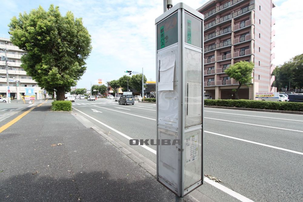 �y���Ӂz�@�o�X��@�F�H�O 315m