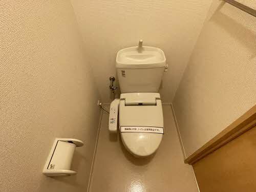 �y�g�C���z�@