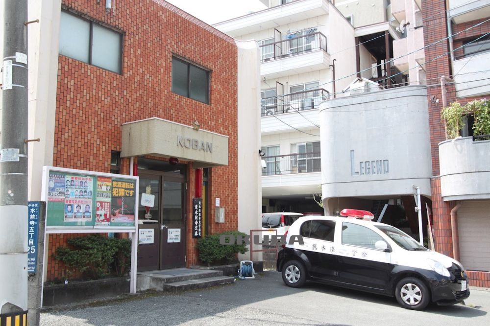 �y���Ӂz�@�F�{���x�@�� �����O����� 260m