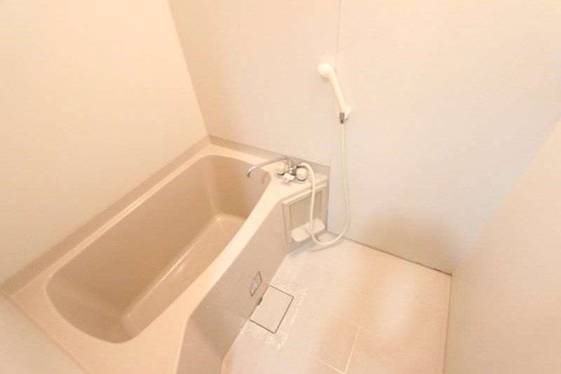 �y�o�X�z�@