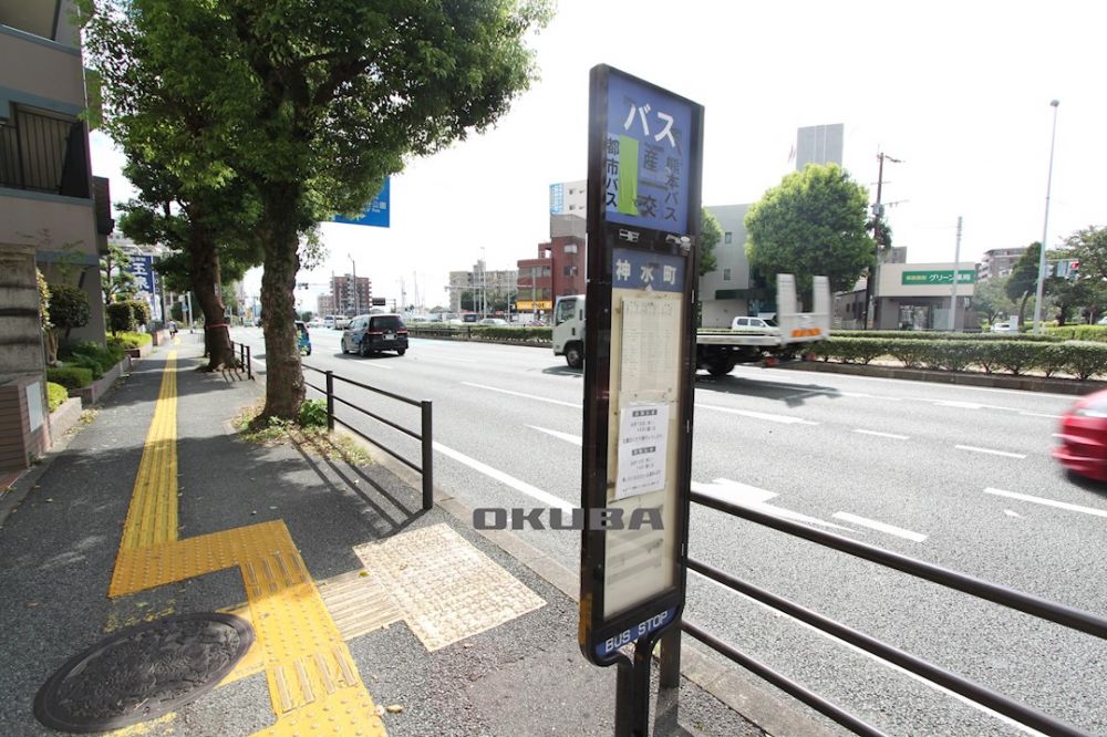 �y���Ӂz�@�o�X�� �_���� 3m