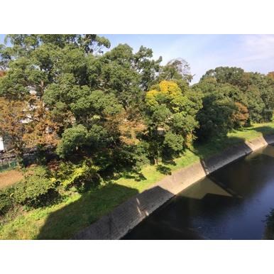 �y���]�z�@