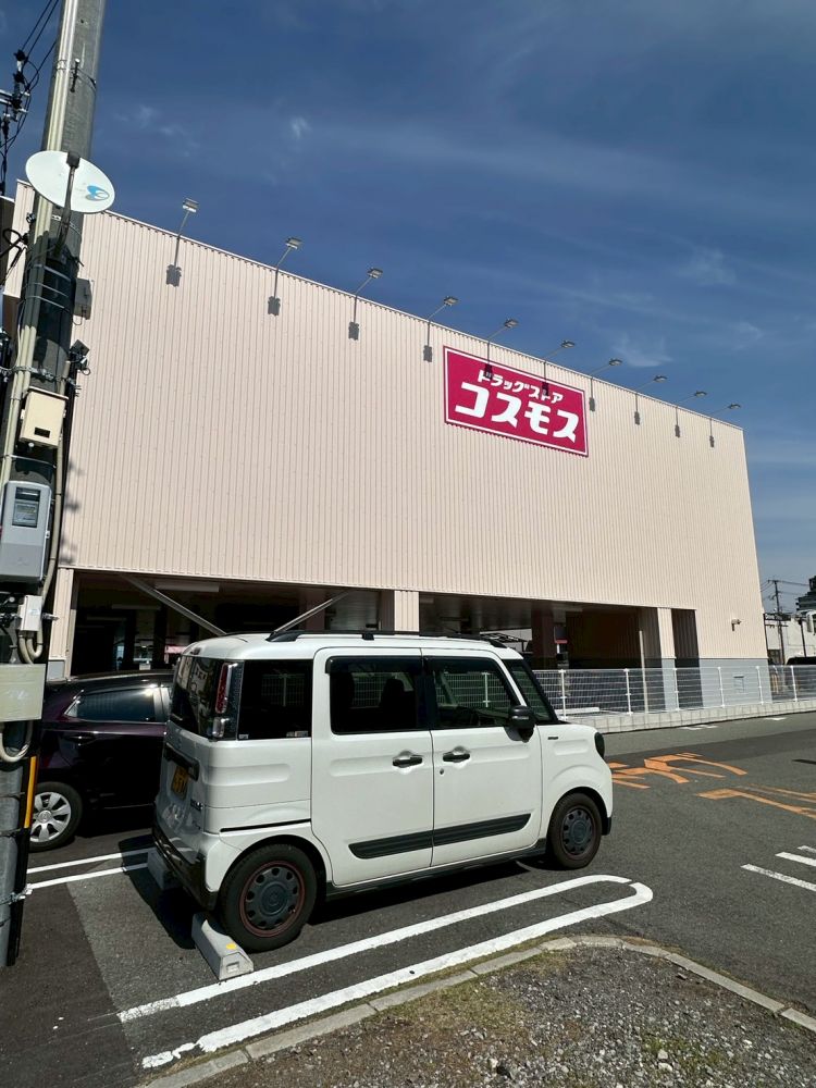 �y���Ӂz�@�h���b�O�X�g�A�R�X���X���R�ʂ�X 252m