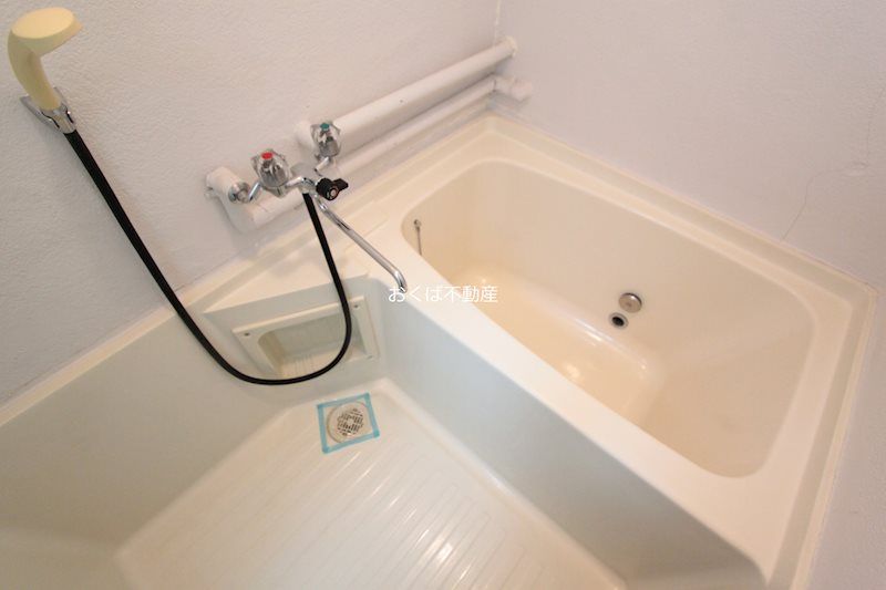 �y�o�X�z�@