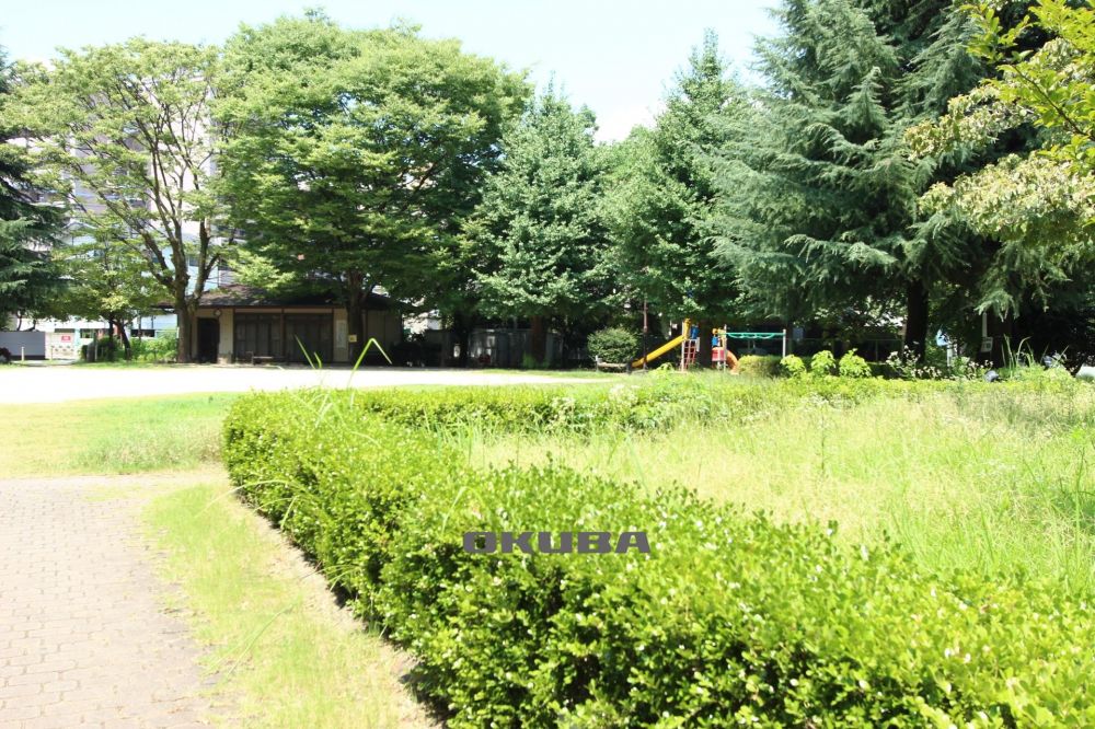 �y���Ӂz�@���̌����� 261m