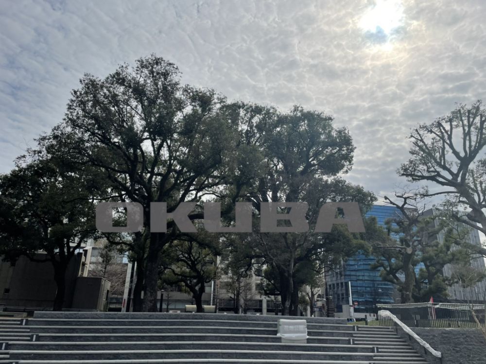 �y���Ӂz�@�Ԕ����� 342m