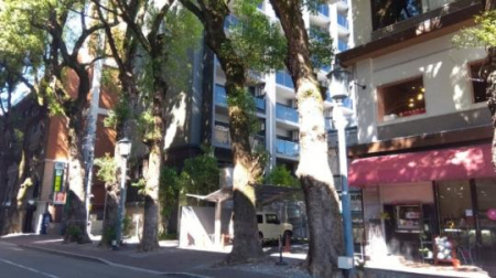 �@�����O��